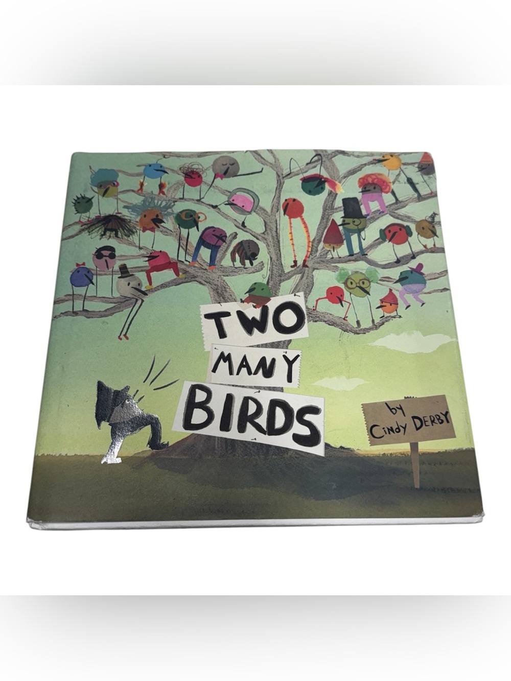 Two Many Birds hardcover book by Cindy Derby in great condition children’s book!
